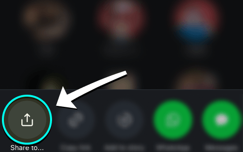An Instagram Reel with the share arrow in the right-hand rail highlighted