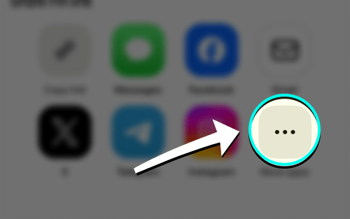 iOS share menu More button