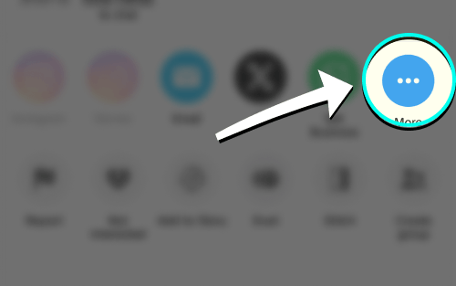 iOS share menu More button
