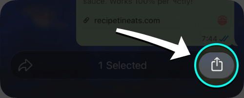 WhatsApp share button